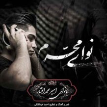 دانلود آهنگ جدید امیر محمد افشار به نام نوای محرم